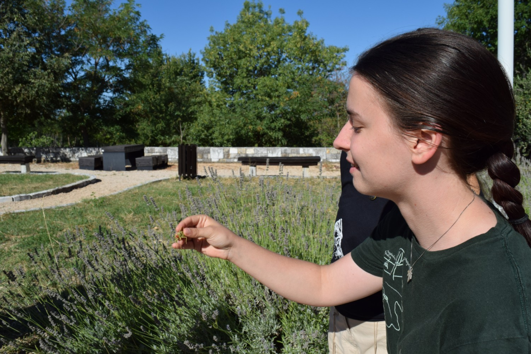 Mladi čuvari prirode: Junior Ranger grupa okupila se u Eko kampusu 'Krka' Puljani