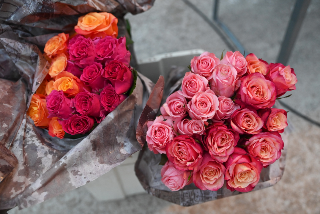 Održana ženska veslačka regata u Betini: Pogledajte koje su ekipe bile najbolje