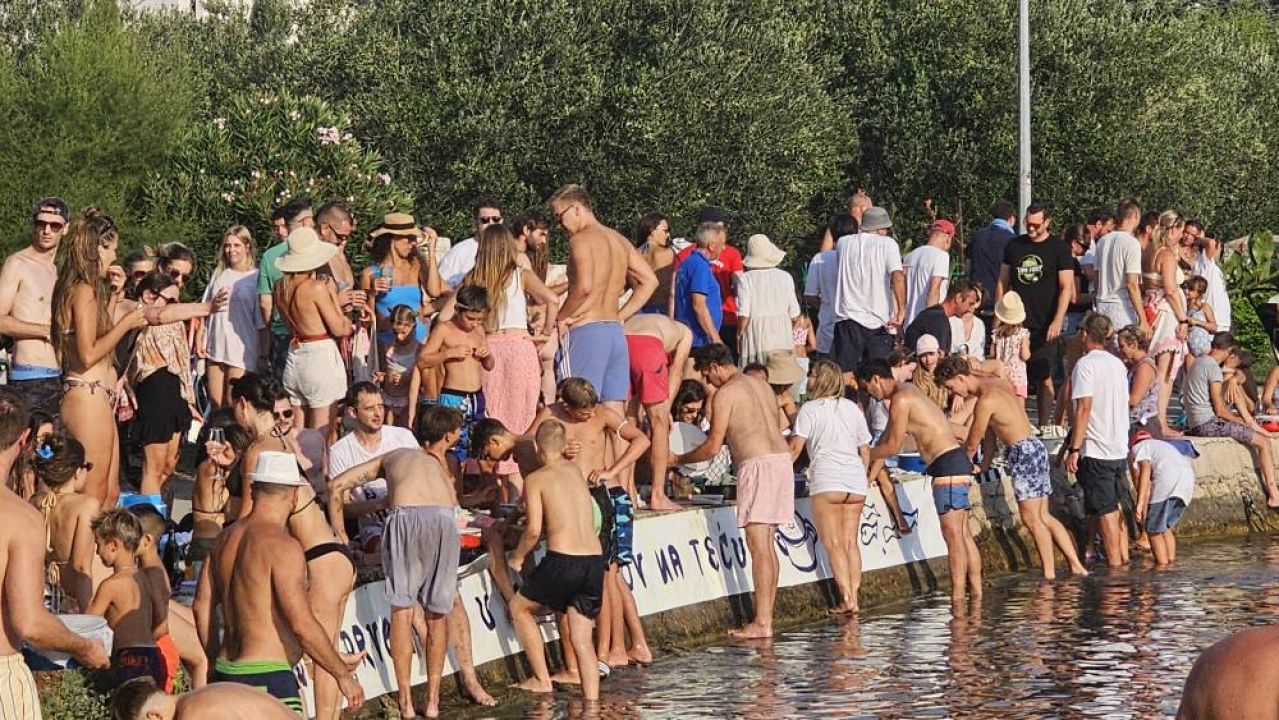 Lov na ciple na teću