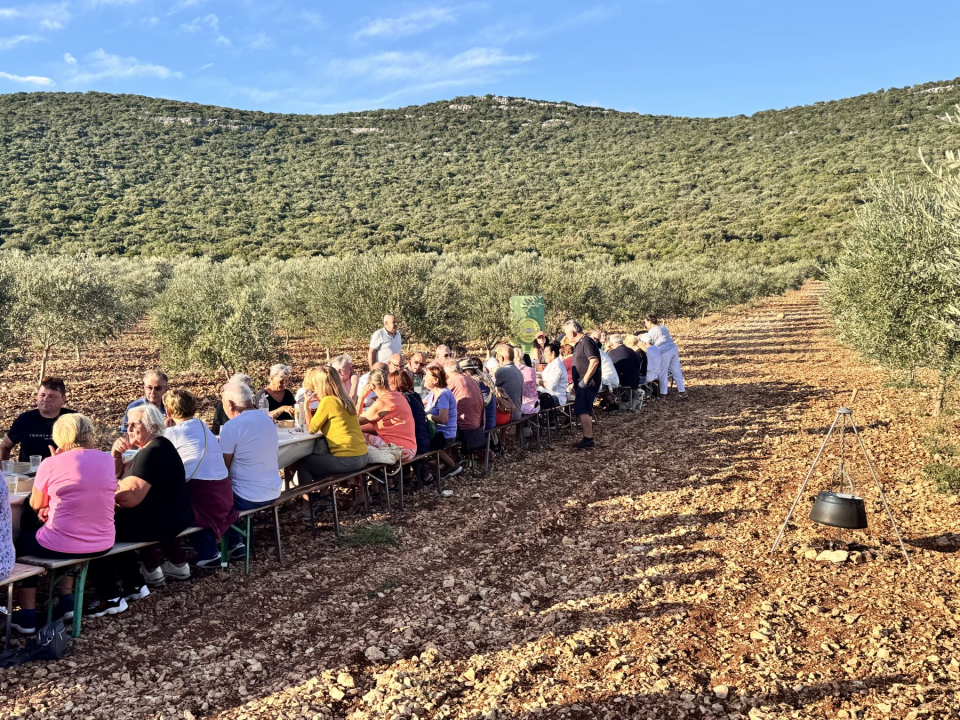 'Piknikom u masliniku' službeno završilo 'Lito u Pirovcu'