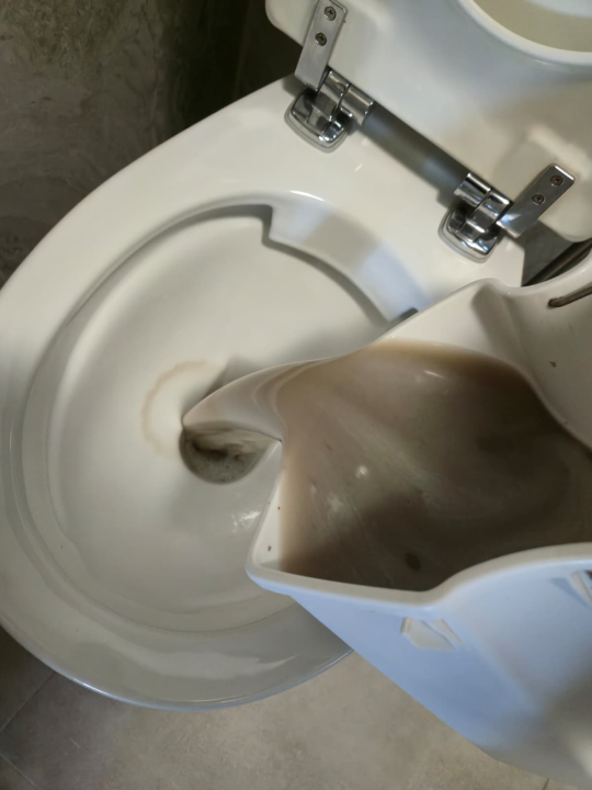 FOTO Nema što ne rade: Pozovite GV Clean i prepustite im sve brige!