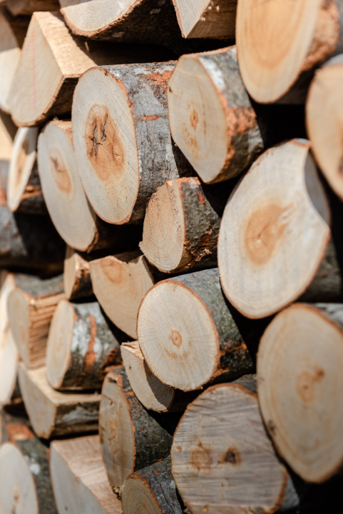 FOTO Opskrbite se za zimu jer su iz Vrcić drva snizili cijene ogrjevnog drva!