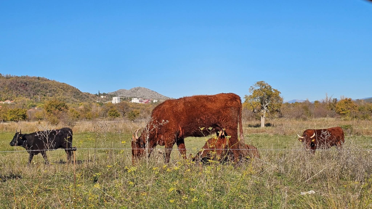 Drniško zaleđe u jesenskim bojama
