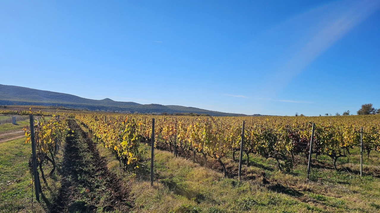 Drniško zaleđe u jesenskim bojama