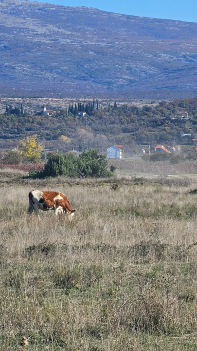 Drniško zaleđe u jesenskim bojama