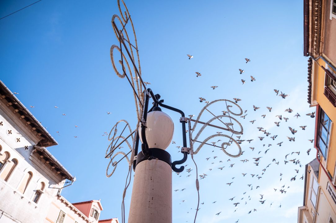 Božićni ukrasi postavljeni po Šibeniku: Još ne svijetle, ali podsjećaju da su blagdani sve bliže