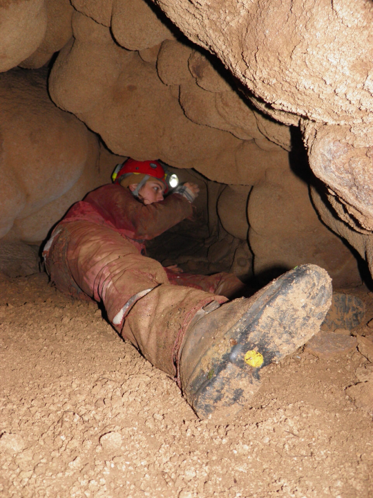 Nova špiljska vrsta kornjaša otkrivena u NP Krka. Ime je dobio upravo po parku 