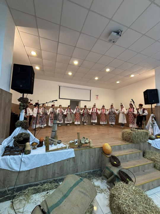 'Dinarsko silo' u Kijevu okupilo čuvare baštine, plesova i običaja 