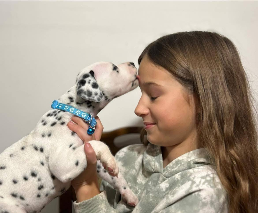 Anđela je najbolji mladi vodič pasa