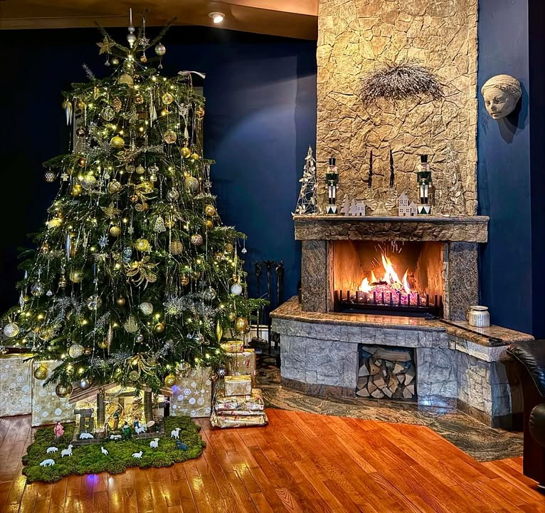 Odluka je pala: Donosimo vam pobjednike izbora najljepše božićne jelke ŠibenikIN-a