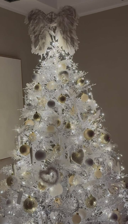 Odluka je pala: Donosimo vam pobjednike izbora najljepše božićne jelke ŠibenikIN-a