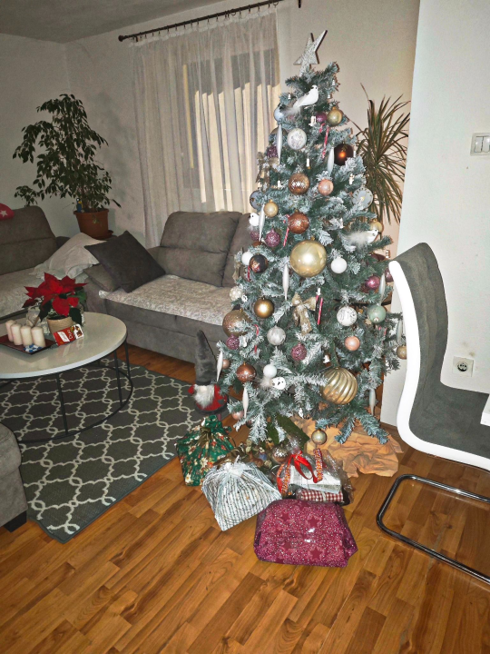 Odluka je pala: Donosimo vam pobjednike izbora najljepše božićne jelke ŠibenikIN-a