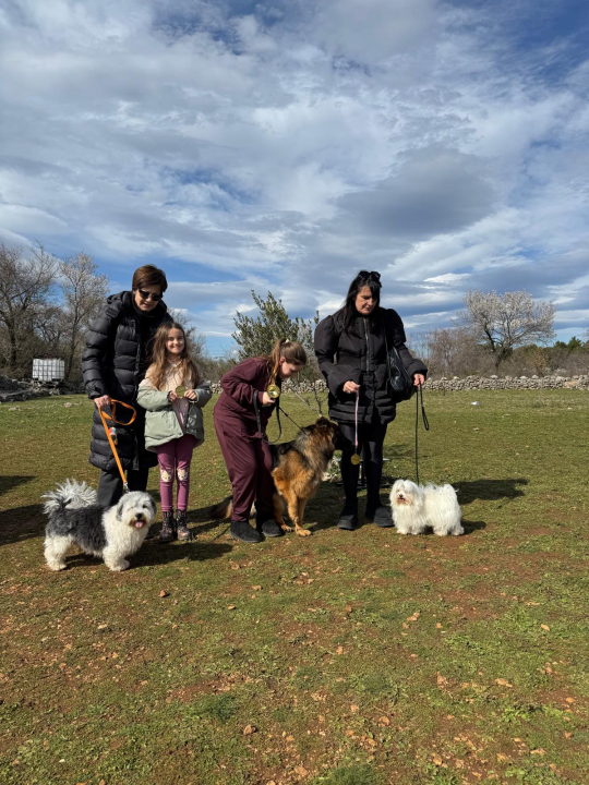 Održano 3. izdanje natjecanja 'Ghetto Dog' u Pokrovniku