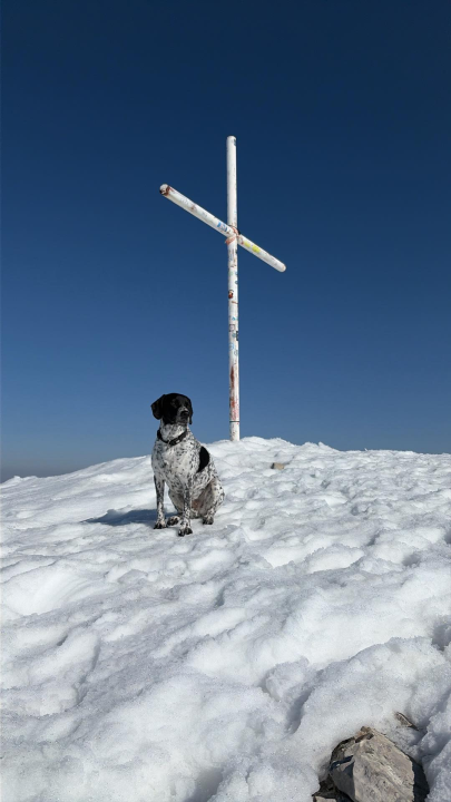 Pozdrav s najvišeg vrha Hrvatske na Dinari: 'Snijeg, sunce i pogled koji se pamti cijeli život'