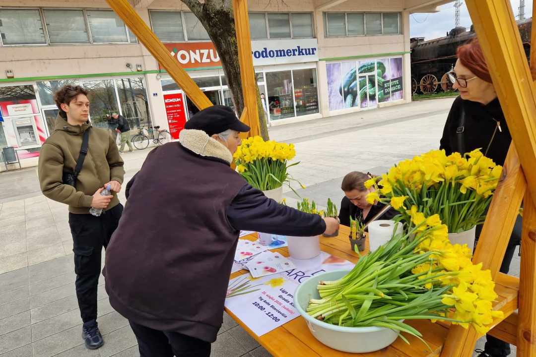 Šibensko-kninska županija obilježila Dan narcisa: Rano otkrivanje raka ključ za izlječenje