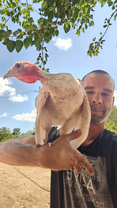 Mario je život u gradu zamijenio selom