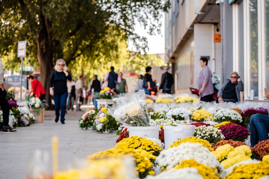 Blagdan Je Svih Svetih :: ŠibenikIN News Portal